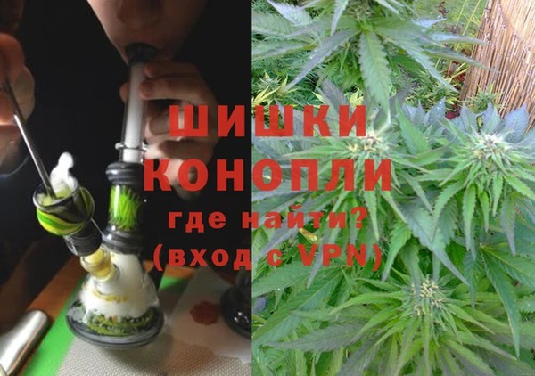спайс Рославль